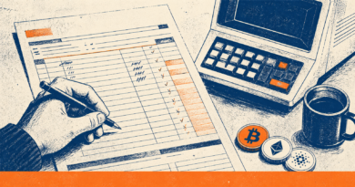 Ho costruito con l’AI un software per le tasse crypto: ecco com’è andata